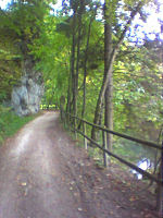 Toller Radweg

Aufnahmestandort:
N 48° 4′ 53.69″, O 9° 5′ 21.6″