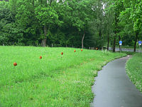Seltsame Wegzeichen - und deutsche Gründlichkeit bei der Radwegbeschilderung

Aufnahmestandort:
N 53° 4′ 16.41″, O 10° 17′ 4.29″