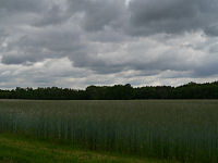 Die Ruhe vor dem Sturm

Aufnahmestandort:
N 52° 53′ 17.25″, O 10° 7′ 18.82″