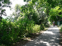 Weserradweg bei Bodenwerder

Aufnahmestandort:
N 51° 59′ 48.31″, O 9° 30′ 13.32″