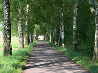 Bahntrassenradweg bei Schlitz

Aufnahmestandort:
N 50° 40′ 40.75″, O 9° 34′ 9.63″