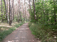 Die letzten Meter vor Rodgau

Aufnahmestandort:
N 50° 1′ 26.75″, O 8° 50′ 28.88″