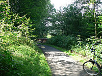 Der letzte Schatten für mehrere Kilometer

Aufnahmestandort:
N 51° 33′ 8.52″, O 9° 36′ 35.97″