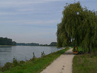 Rhein bei Altlußheim

Aufnahmestandort:
N 49° 17′ 45.62″, O 8° 29′ 27.42″
