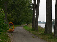 Rheinradweg bei Bodenheim

Aufnahmestandort:
N 49° 55′ 34.95″, O 8° 20′ 40.33″