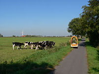 Neugierige Kühe

Aufnahmestandort:
N 53° 35′ 56.44″, O 7° 47′ 27.7″